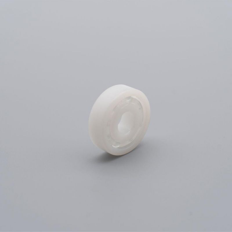 Acid Proof Anti Corrosion POM Plastic Bearing 6003 6203 6303 6403