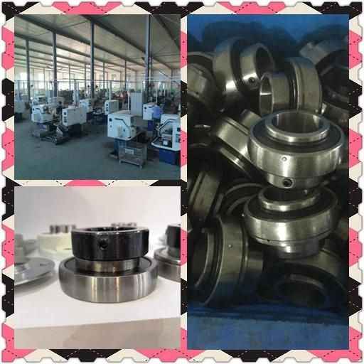 Pollow Block Bearing with Ht200 Housing (UCFL203 UCP205 UC217)