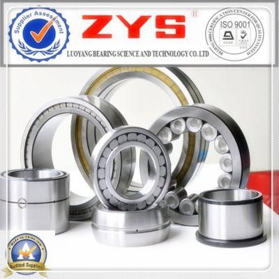 Zys High Quality Four-Row Tapered Roller Bearing in Stock