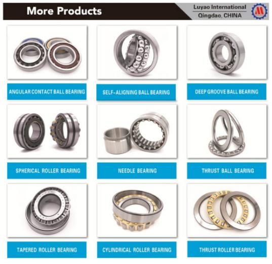 NACHI NTN Factory Supply/High Quality-Electrically Insulated Bearing/Deep Groove Ball Bearing/Cylindrical Roller Bearing for Electric Machinery/Mining etc