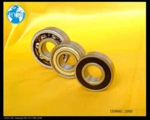 Deep Groove Ball Bearing (61805 1000805)