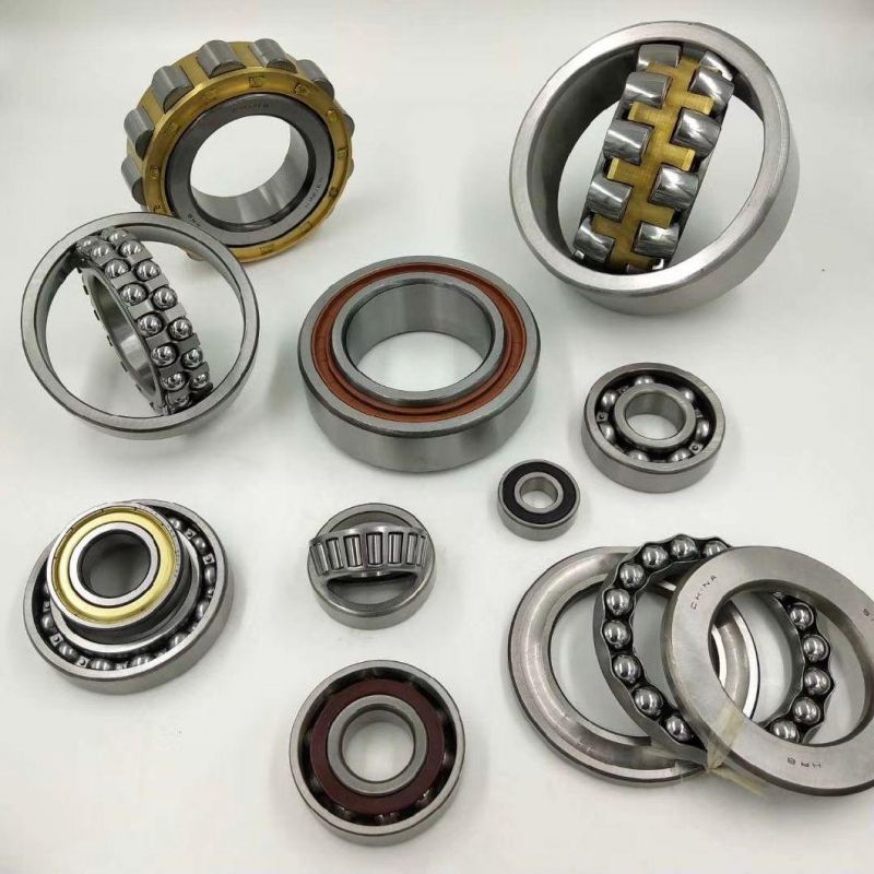 Roller/ Ball/ Thrust Ball/Cylindrical/Self-Aligning Roller/Deep Groove Ball Bearing