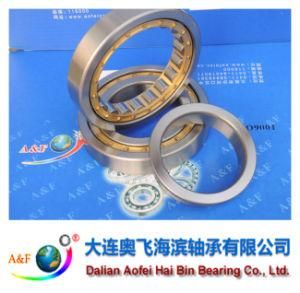 A&F Bearing/ Cylindrical Roller Bearing NJ219M