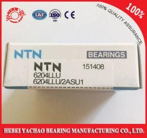 Good Service High Quality Deep Groove Ball Bearing 6204 NTN