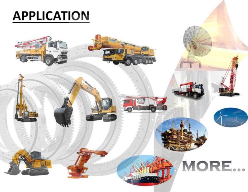 Excavator Slewing Bearing 81n8-00023 Swing Bearing for Hyundai R290nlc-7A R290LC-7