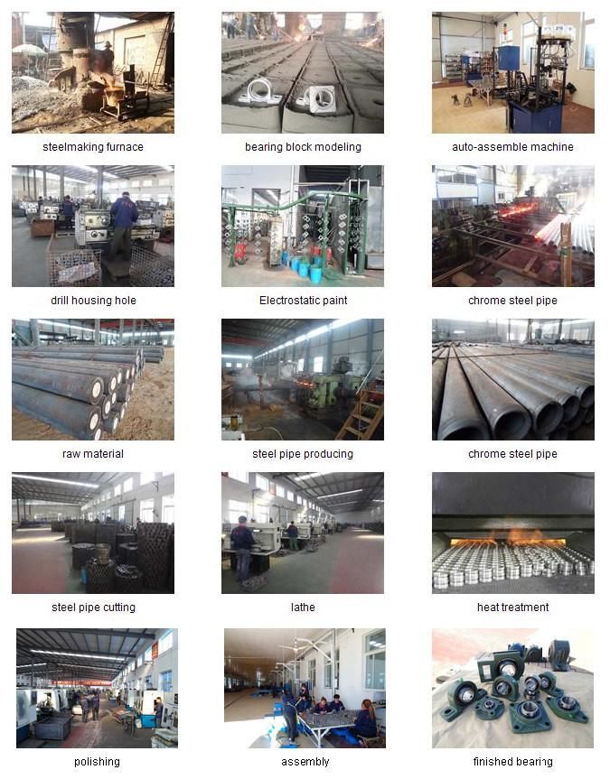 OEM /Agricultrual Machinery Stainless Steel Ceramic Cylindrical Roller Bearing UC/Ub/Ue/UK/Uel/UCP/Uelp/Ucfu/Uelk Pillow Block Bearingsdingpillow Block