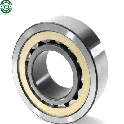 Nj203 Cylindrical Roller Bearing for Pump Machine Motor