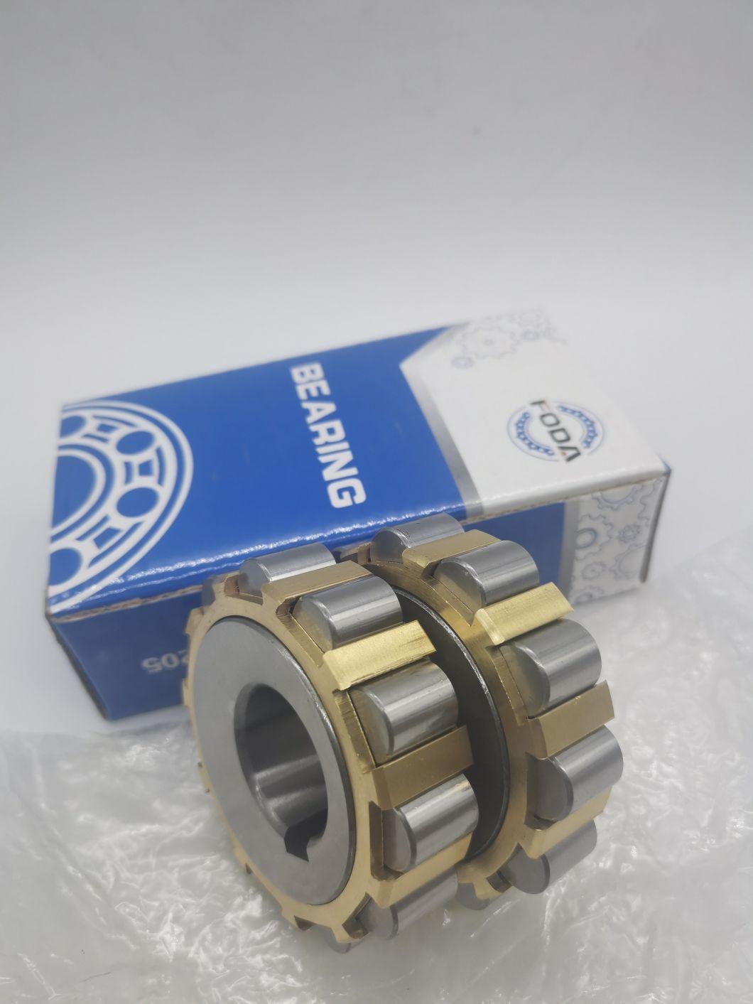 Double Row Eccentric Bearing Rn1010/ 50X72.5X16 (22uz8311 Rn1010 Rn1012 Rn1014 Rn1016 RV1018 Rn1020 Rn1024 Rn202 Rn203 Rn204 Rn205 Rn206 Rn207 Rn2