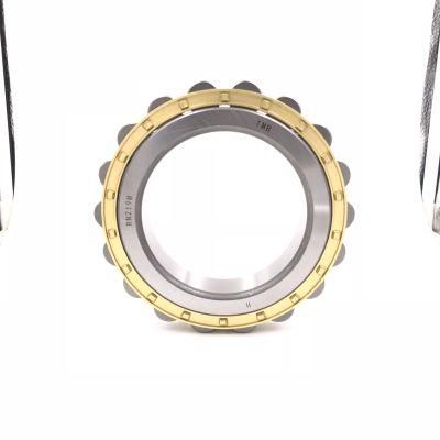 Yoch Cylindrical Roller Bearing Rn220 Reducer Bearing