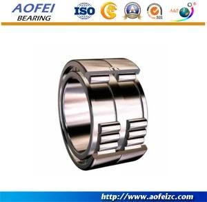 A&F Manufacturer supply flat cage needle roller bearings for currency counting capacity