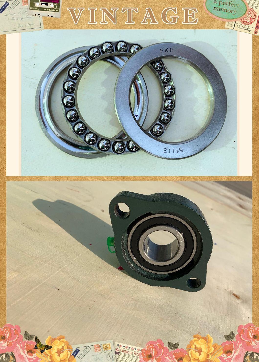 Pillow Block Bearing for Machine Part (UCP SN507 UCPA)