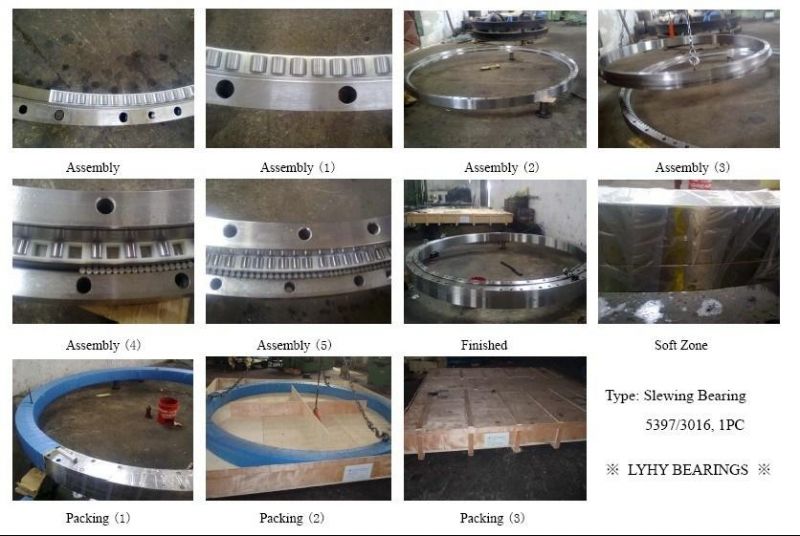 Triple Row Roller Slewing Ring Bearing Ring Bearings Turntable Bearings 191.32.2240.990.41.1502