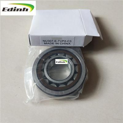 Nu304etvp2/C3 Nu305 Nu306 Nu307 Nu308 Nu309 Roller Bearing P5