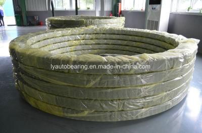 Pentium Quality Slewing Bearing &amp; Slewing Ring