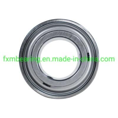 Insert Bearing Gra100nppb, G10, Zv2, Zv3, P6plus