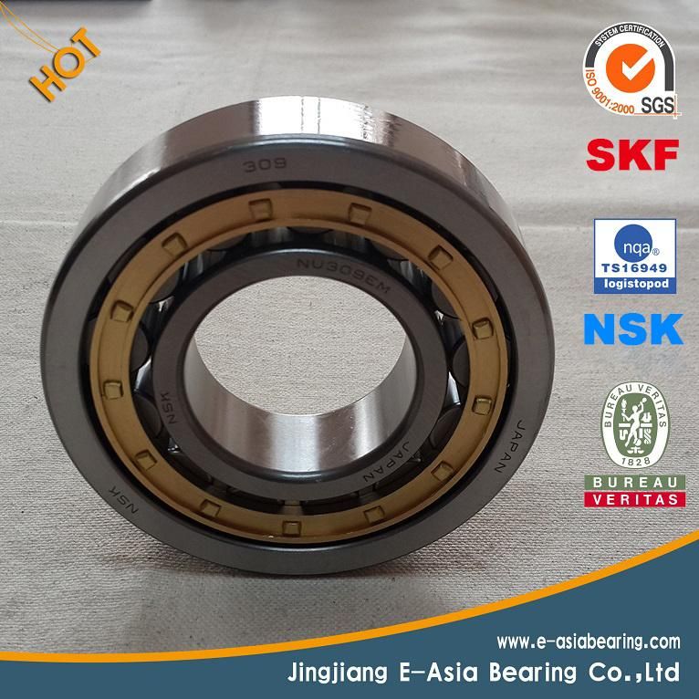 SKF Ball Bearing