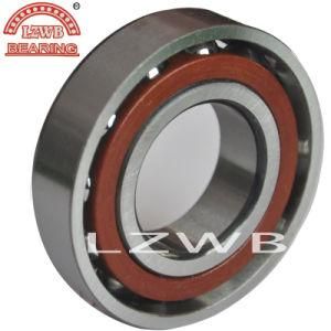 Angular Contact Ball Bearing (7000 series)