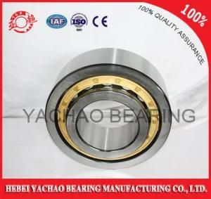 Cylindrical Roller Bearing (N227 Nj227 NF227 Nup227 Nu227)