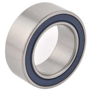 Double Row Angular Contact Ball Bearing (SHB-SL-01)