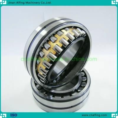 Single/ Double Row Brass Cage Steel Cage Cylindrical Roller Bearing