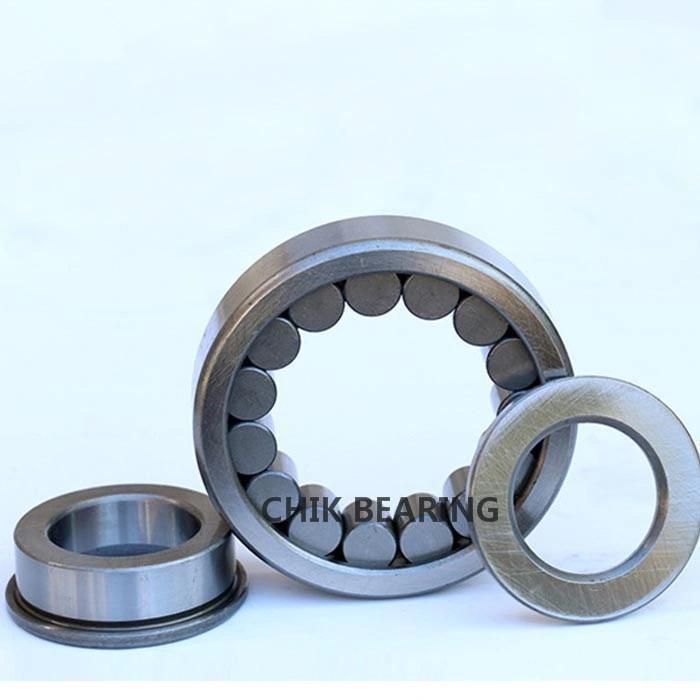 NSK Koyo NACHI Japan Bearing Cylindrical Roller Bearing for Constructive Machinery SL04 5012-N