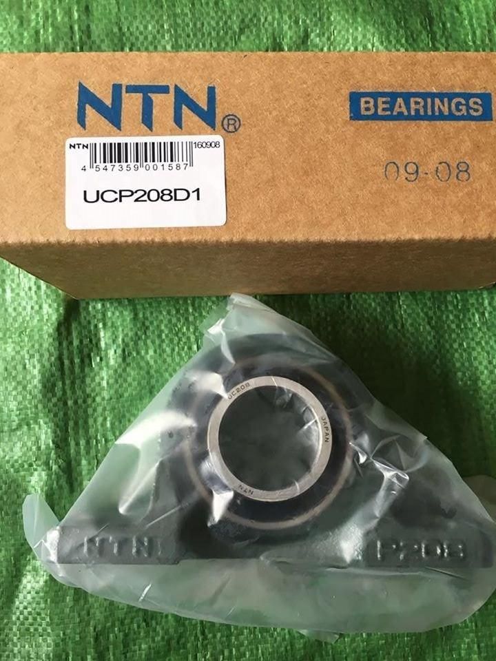 China Distributor Standard Size NTN NSK NACHI Koyo Asahi Fyh UC201 UC202 UC203 UC204 UC205 Pillow Block Bearing for Medical Equipment