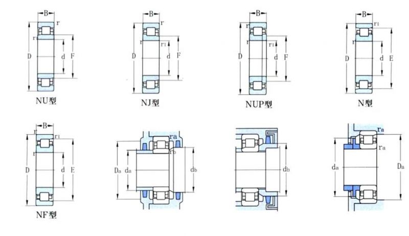 Cylindrical Roller Bearing Bearing Single Double Row Auto Bearing