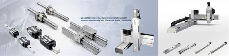 100% Original Hiwin Linear Guide Rail / Linear Guideway