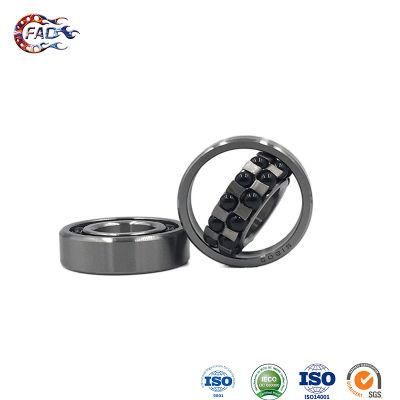 Xinhuo Bearing China Ball Bearing Custom Wheelbarrow Wheel Bearings11204 Self Aligning Linear Ball Bearing