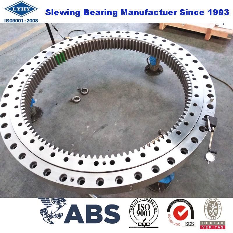 Lyhy Double Row Ball Slewing Bearings with Internal Teeth 2ID. 095.00