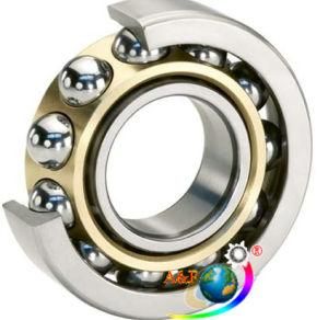 Deep Groove Ball Bearing (60 Series)