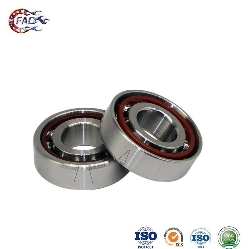 Xinhuo Bearing China Slewing Ring Factory High Performance Wheel Hub Bearing 89411b2010 7328acm