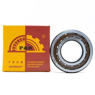 Fak Brass Cage Bearing Nu1006m Nu1008m Nu1010m Cylindrical Roller Bearing