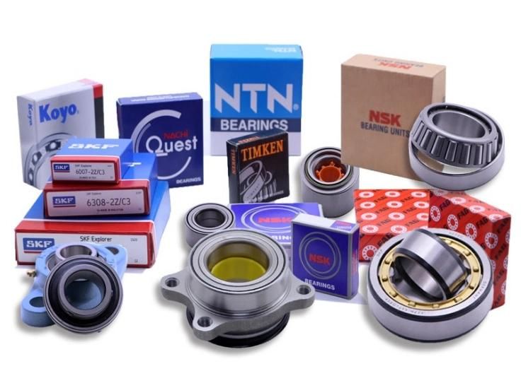 NSK/Timken/Koyo/NACHI/NTN/IKO, Deep Groove Ball Bearing 6000 6200/Taper Roller Bearing/ Angular Contact Ball Bearing/Cylindrical Bearing/Spherical Bearing