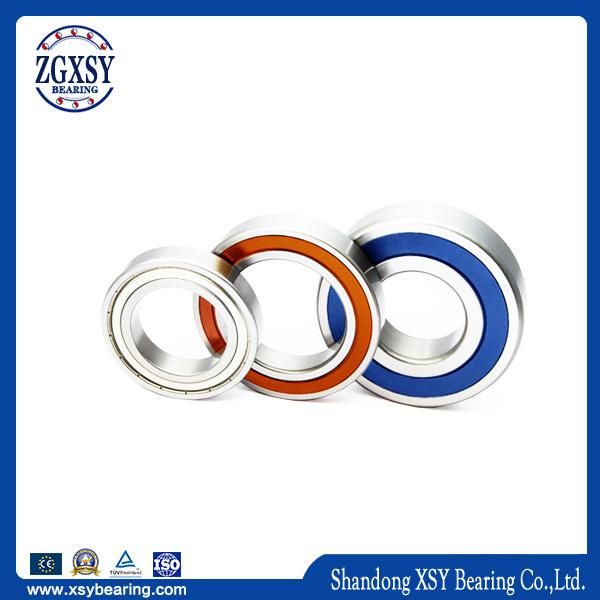 Normal Precision Standard 61909 Deep Groove Ball Bearing