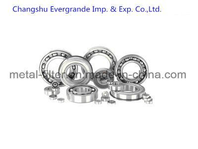 Deep Groove Bearing