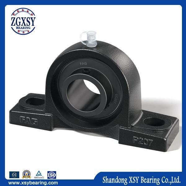 Zgxsy/Xsy/NSK/NTN/Timken Brand Pillow Block Bearing (UC/UCP/UCF/UCFL/UCT/UCPA)