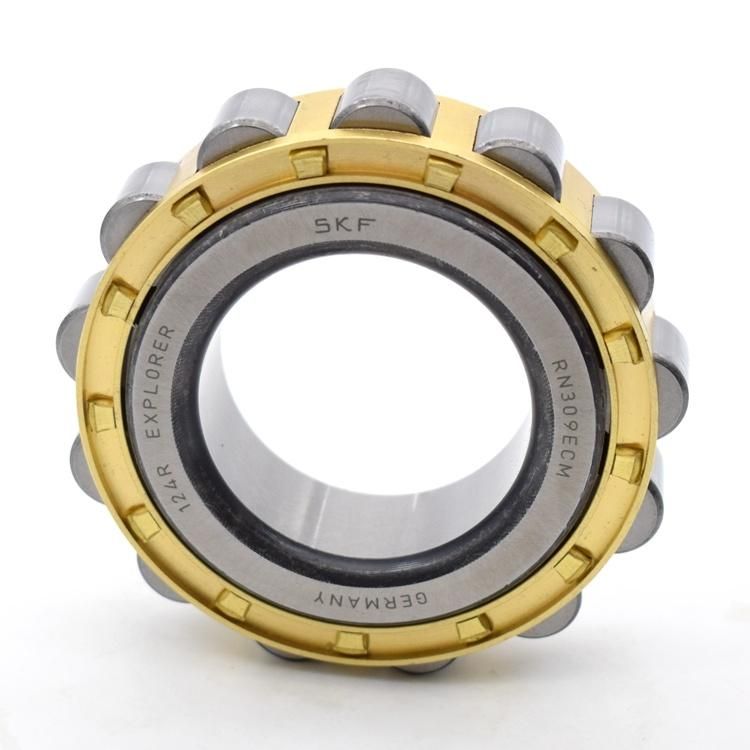 Auto Parts Compressor Bearings Rn219m Rnu220m Rn222m Cylindrical Roller Bearing