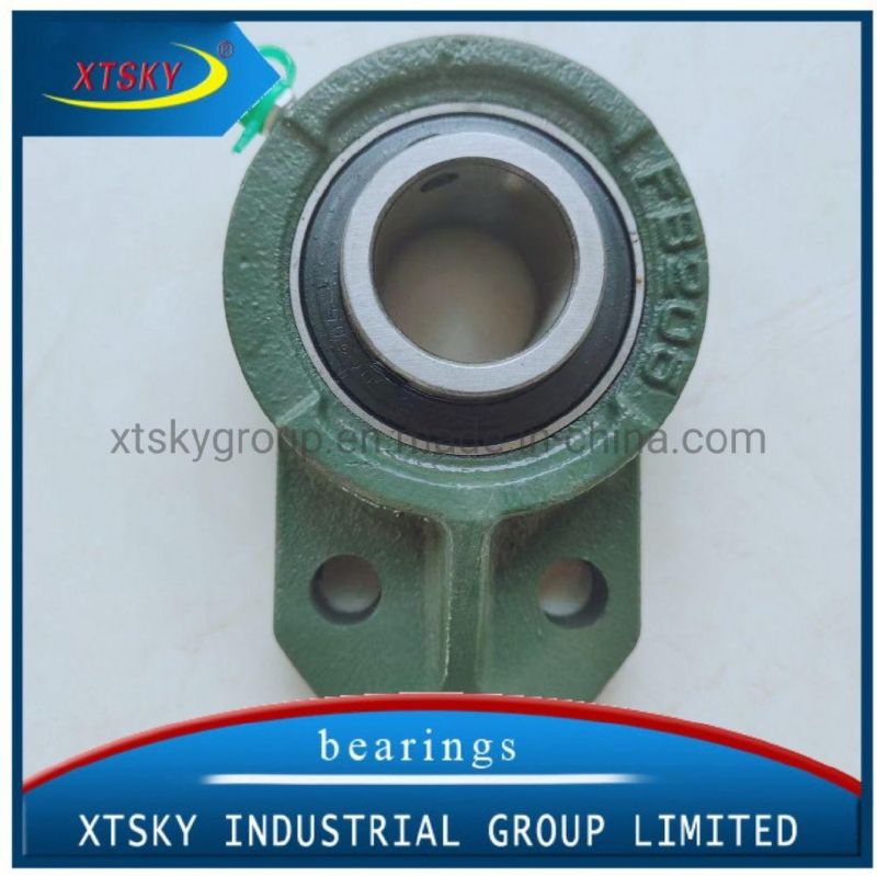 Xtsky Pillow Block Bearing (UCFC-211)