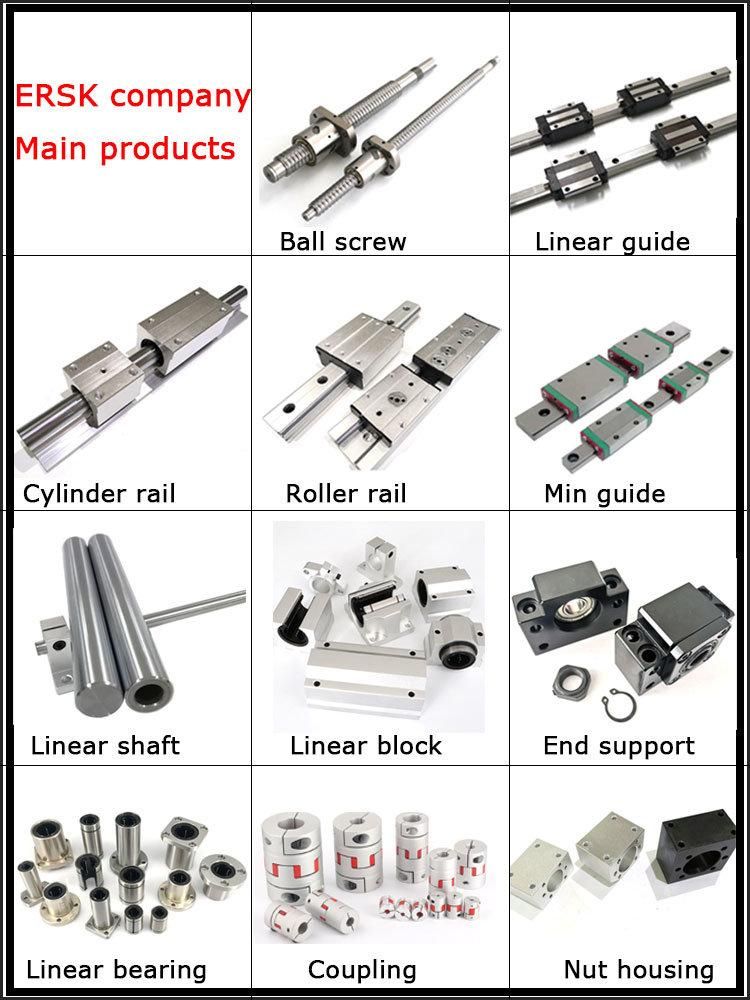 Ersk Company Produced High Quality Ball Screw