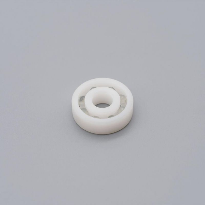 Acid Proof Anti Corrosion POM Plastic Bearing 6003 6203 6303 6403