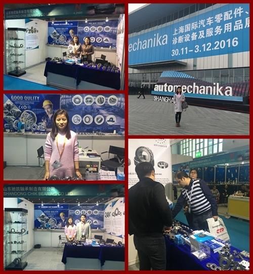 Chik Koyo NSK Thrust Ball Bearings Agricultural Pumps Mining Bearing (51144 51203 51216 51148 51204 51217)