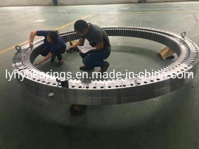 Big Size Slewing Ring 02 2560 00 Ball Turntable Bearing with Internal Gear