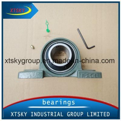 Auto Parts Pillow Block Bearing UCP208 Bearing