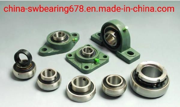 Distributor Housed Bearing Units Mounted Pillow Block Bearing UCP206