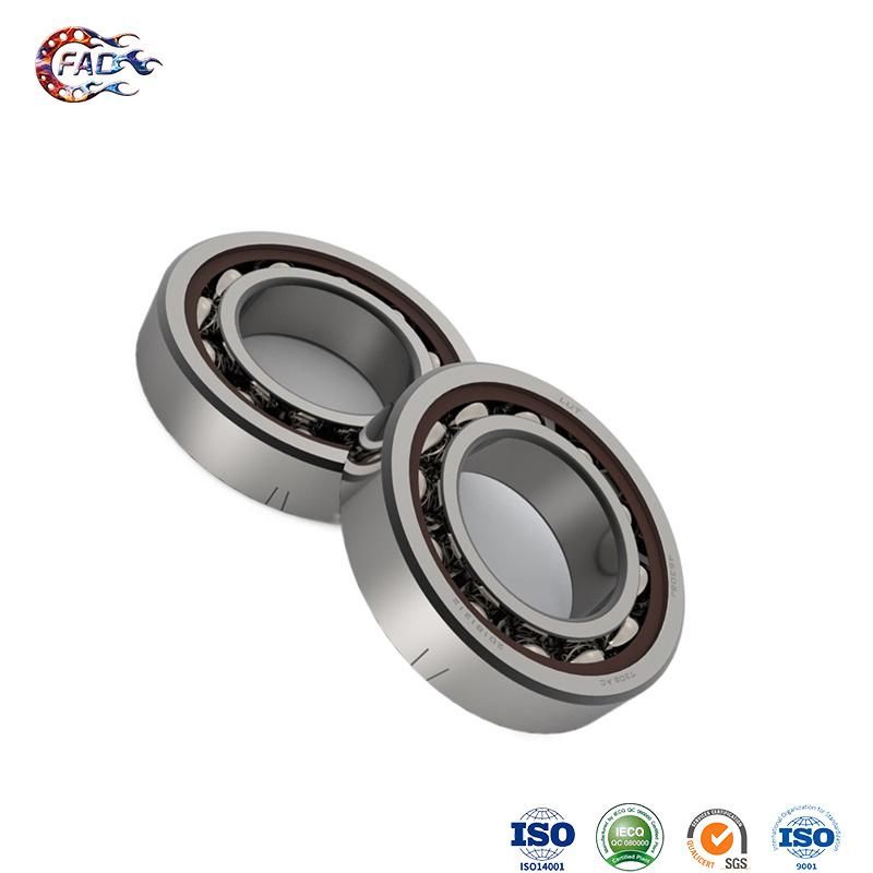 Xinhuo Bearing Nup Type Cylindrical Roller Bearing Suppliers High Quality 6000 6001 6002 6003 Radial Ball Bearing 7311AC