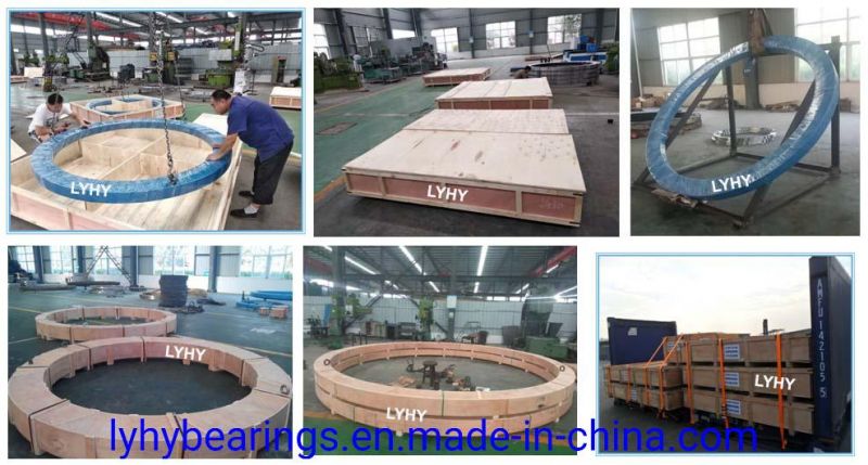 Triple Roller Slewing Ring Bearing 191.20.1250 External Gear Turntable Bearing 191.20.1400