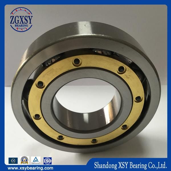 Angular Contact Ball Bearings 7000acseries, 7200acseries, 7300acseries