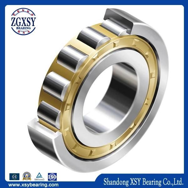 Nj311r C3fy Cylindrical Roller Bearing (C3 Clearance)