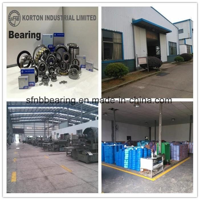 IKO Needle Bearing Factory Lrt556530 Needle Roller Bearings